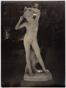 Faun Toilet